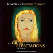 Wishful Thinking - Duncan Sheik