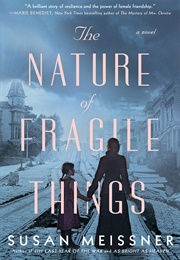 The Nature of Fragile Things (Susan Meissner)