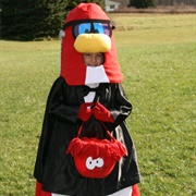 Club Penguin Costume