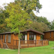 Darwin Forest Country Park, Derbyshire, England