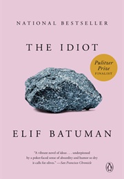 The Idiot (Elif Batuman)