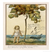 I Had a Little Nut Tree