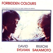 David Sylvian &amp; Ryuichi Sakamoto - Forbidden Colours