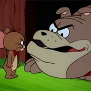 The New Tom and Jerry Show