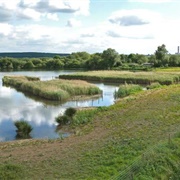 Attenborough Nature Reserve, Nottinghamshire