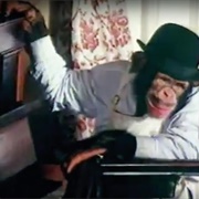 PG Tips Mr Shifter Advert