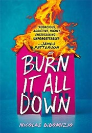 Burn It All Down (Nicolas Didomizio)