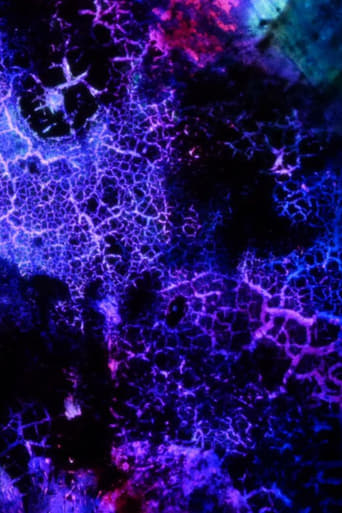 Elementary Phrases (1994)