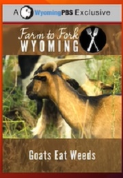 Farm to Fork Wyoming Goats Eats Weeds (Doco) (2017)