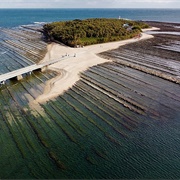 Aoshima, Miyazaki