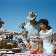 Elizabeth Taylor's Picnic Dress- Giant