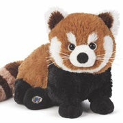 Red Panda