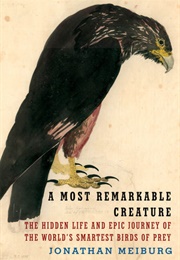A Most Remarkable Creature (Jonathon Meiburg)