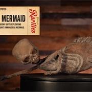 Fiji Mermaid