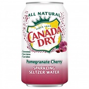 Canada Dry Pomegranate Cherry Sparkling Seltzer Water