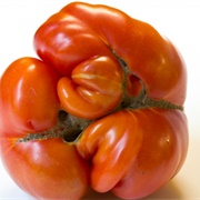Ugly Orange Pepper