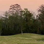 Dubsdread Golf Course