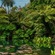 Lost Gardens Heligan