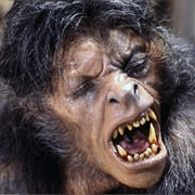 Werewolf - An American Werewolf in London