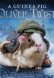 A Guinea Pig Oliver Twist (Alex Goodwin)