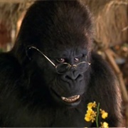 George of the Jungle - Nearly Headless Nick