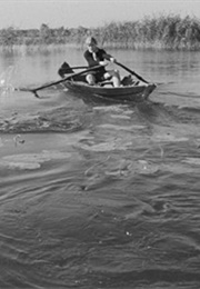 Pan (Van Der Horst) (1962)