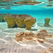 Dugong-Spotting and Stromatolites, Shark Bay, Australia