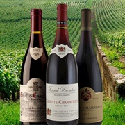 Griotte Chambertin
