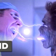 Life-Force Absorption