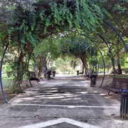 Egaleo Baroutadiko Forest