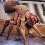 Cursed Spider
