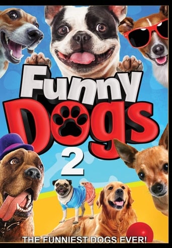 Funny Dogs 2 (2018)