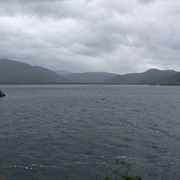 Ring of Kerry Boat Tour