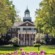 Elon University