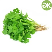 Coriander Leaf