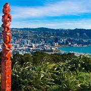 Mount Victoria Lookout, Wellington, New Zealand