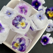 Floral Ice Cubes