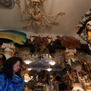 Steve's Weird House, WA