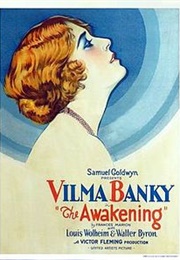 The Awakening (Banky) (1928)
