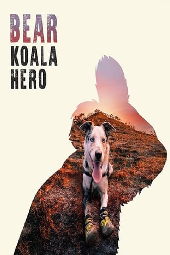 Bear: Koala Hero (2020)