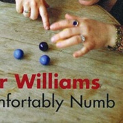 Comfortably Numb - Dar Williams