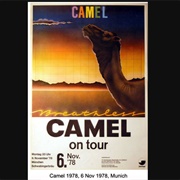 Camel - Stationary Traveller