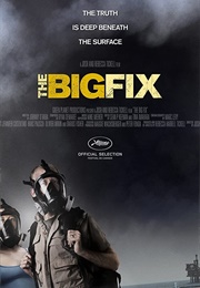 The Big Fix (2011)