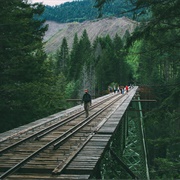 Vance Creek Bridge, Washington