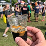 Michigan Brewers Guild Summer Beer Festival, Ypsilanti