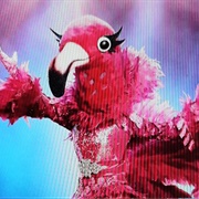 Madame Flamingo