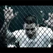 Avenged Sevenfold - Seize the Day