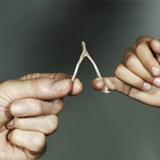Wishbones