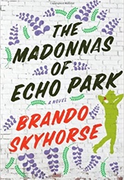 The Madonnas of Echo Park (Brando Skyhorse)