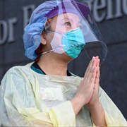 Survive a Global Pandemic